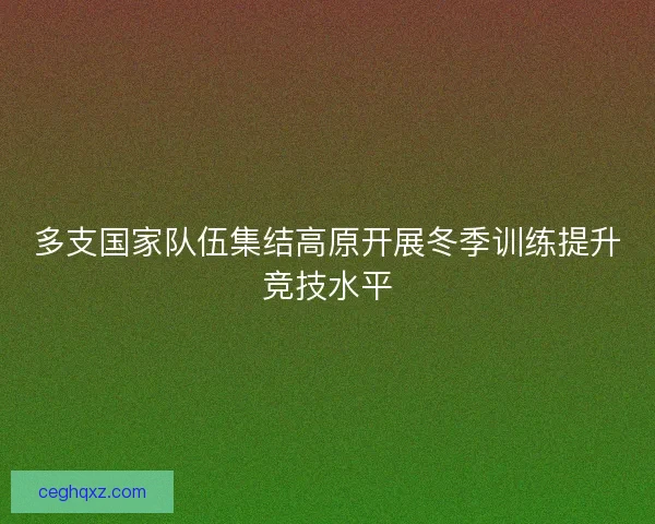 多支国家队伍集结高原开展冬季训练提升竞技水平 多支国家队伍集结高原开展冬季训练提升竞技水平