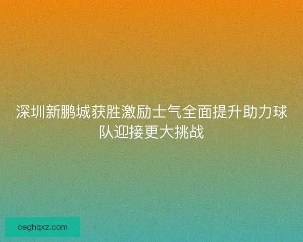 深圳新鹏城获胜激励士气全面提升助力球队迎接更大挑战